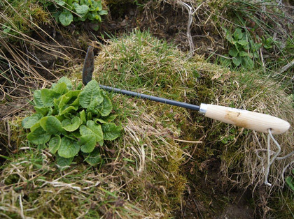 Le zappette da giardinaggio facilitano l’estirpazione delle piante