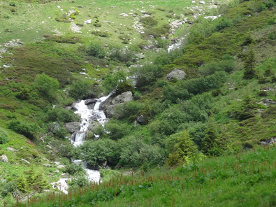 (c) Agridea Le long des cours d'eau