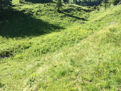 Expansion dans un creux humide