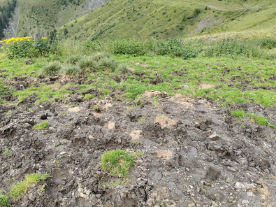 (c) AGRIDEA, Büro Alpe, FiBL Offener Boden