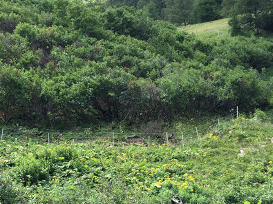 (c) Agroscope Surfaces surfertilisées