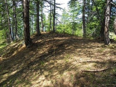 (c) Agroscope Ricrescita nel recinto notturno