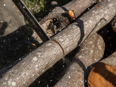 (c) Pixabay La régulation à la tronçonneuse