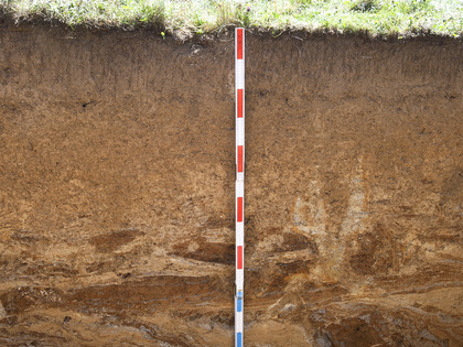 Profilo del suolo