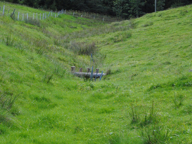 (c) AGRIDEA, Büro Alpe, FiBL, Agroscope Endroit mouillé préféré
