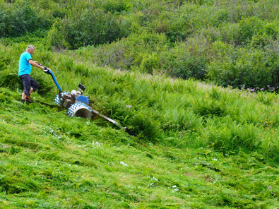 (c) Brielmaier Motormäher Gmbh Motofalciatrice in un pascolo sottosfruttato