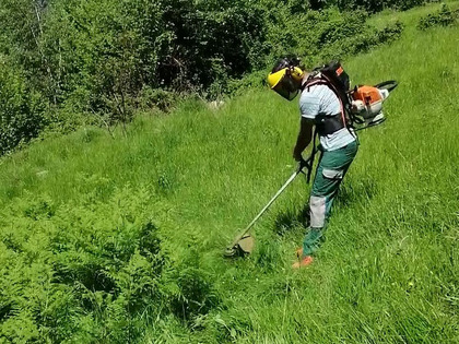 Primo sfalcio stagionale eseguito in maggio a media altitudine