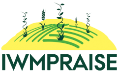 Logo IWMpraise